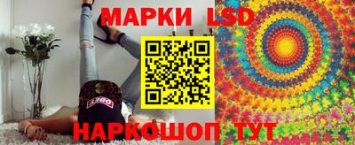 спиды Дубна