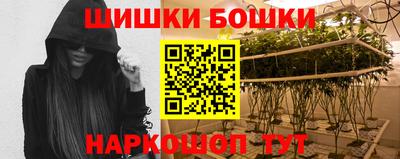 спиды Дубна