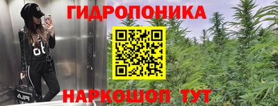 спиды Дубна
