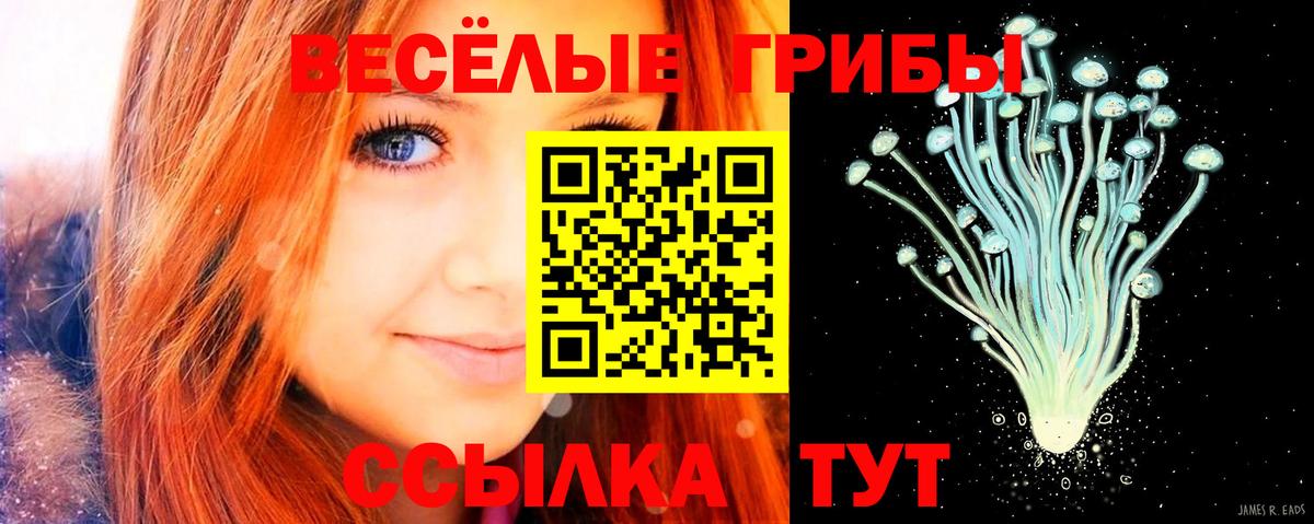 Псилоцибиновые грибы MAGIC MUSHROOMS  Вход с VPN  Нижневартовск 